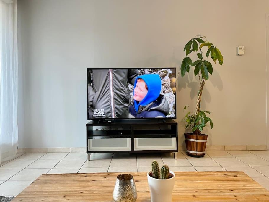 L'Ideal Cosy-Wifi-Netflix Et Garage Vienne  Eksteriør billede